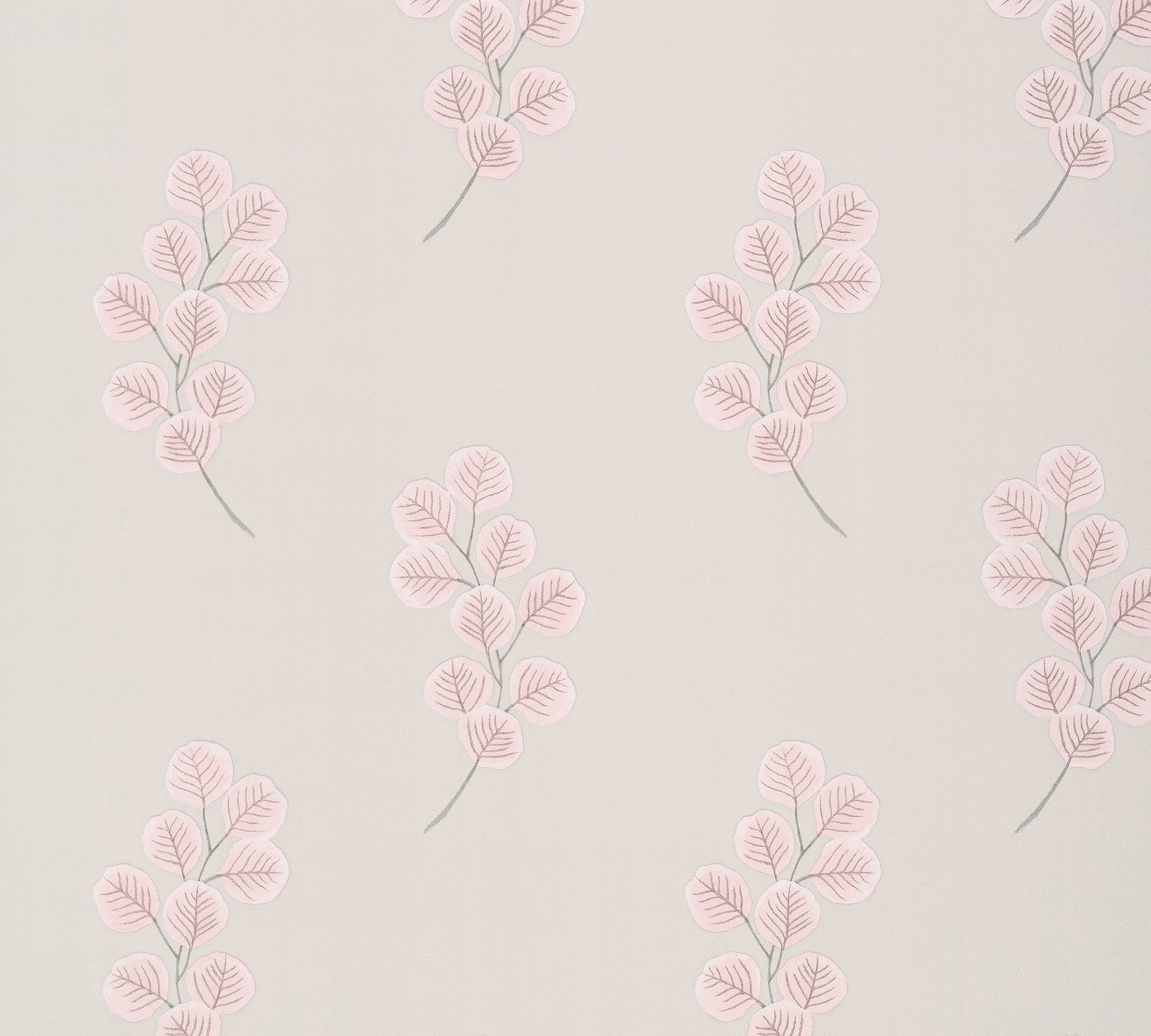 Обои Paint & Paper Library Botany Honesty Salt III 0360HOSALTZ